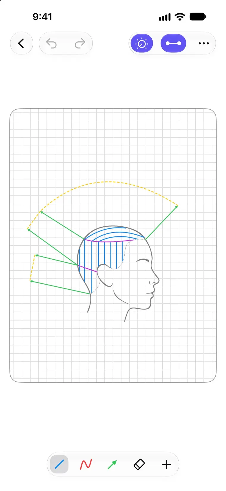 Drawing a haircut diagram in Headsheet: sectioning lines and overdirection arrows over a side view of the head
