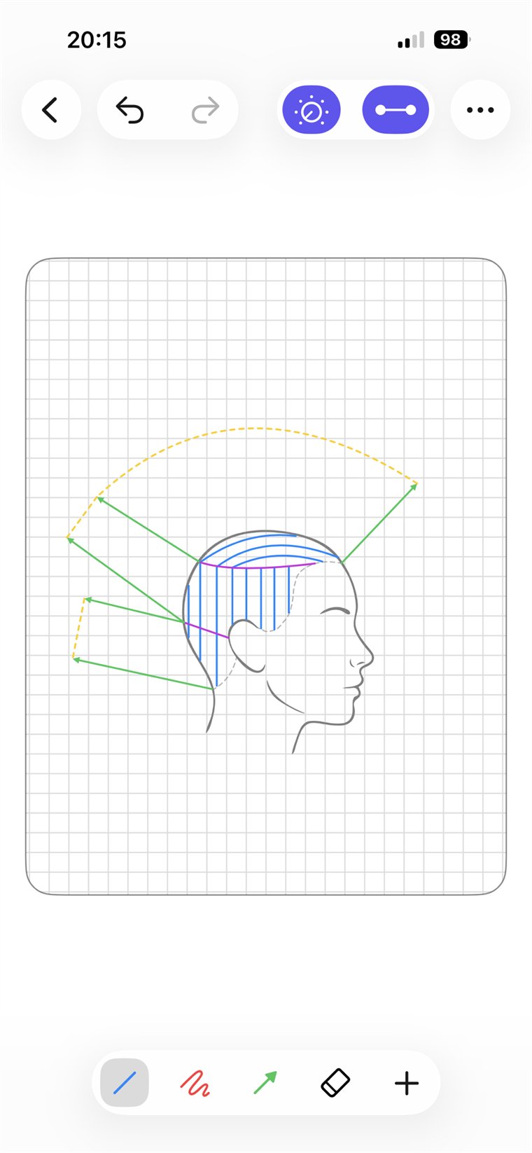 Drawing a haircut diagram in Headsheet: sectioning lines and overdirection arrows over a side view of the head