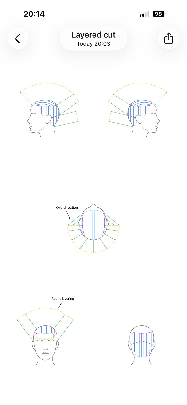 A diagram's Overview in Headsheet, showing all five views of the head at once